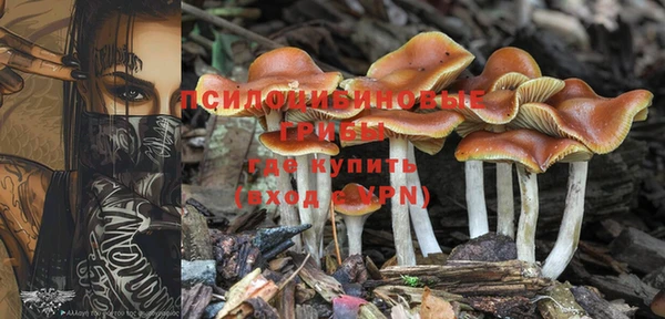 мет Алзамай