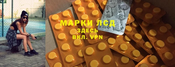 ГАЛЛЮЦИНОГЕННЫЕ ГРИБЫ Алексин