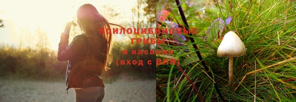 шишки Надым