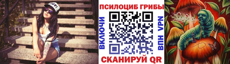 Псилоцибиновые грибы прущие грибы  Александровск 